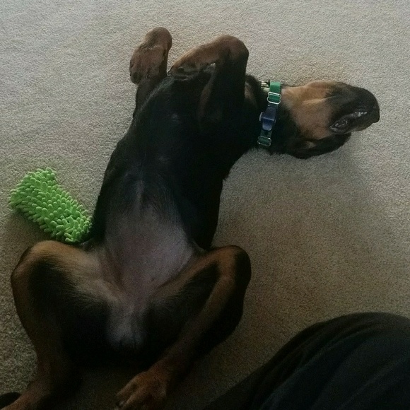 Meet your Posher, Ian - Picture 1 of 1